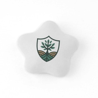 Dolci stelline - confetti a forma di stella - Bianco [St.Perlate]